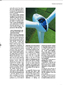 Wind generators and the main transportation and distribution systems