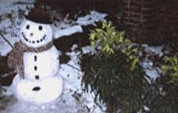 Winter smile of the snowman